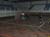Inf_B_UM_Rib_Grande 023