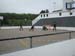 torneio_st_ant_santa_clara 002
